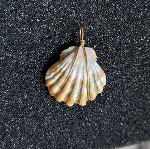 Original Hawaiian Sunrise Shell Pendant